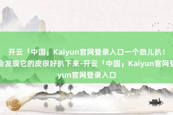 开云「中国」Kaiyun官网登录入口一个劲儿扒！！！你会发现它的皮很好扒下来-开云「中国」Kaiyun官网登录入口