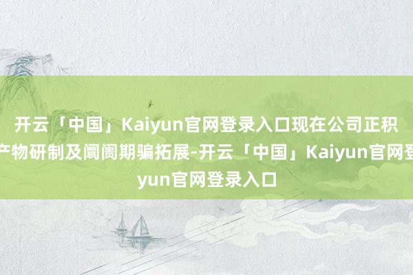 开云「中国」Kaiyun官网登录入口现在公司正积极开展产物研制及阛阓期骗拓展-开云「中国」Kaiyun官网登录入口