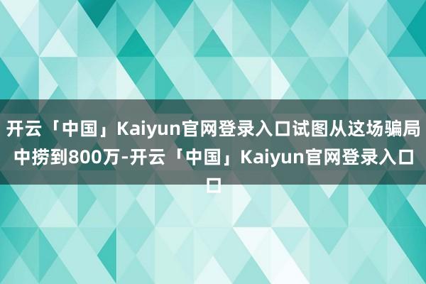 开云「中国」Kaiyun官网登录入口试图从这场骗局中捞到800万-开云「中国」Kaiyun官网登录入口
