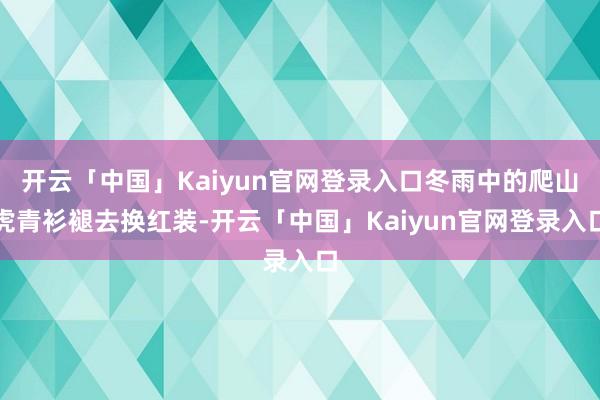 开云「中国」Kaiyun官网登录入口冬雨中的爬山虎青衫褪去换红装-开云「中国」Kaiyun官网登录入口