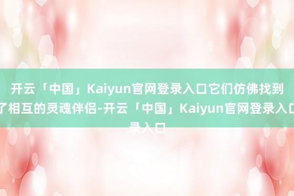 开云「中国」Kaiyun官网登录入口它们仿佛找到了相互的灵魂伴侣-开云「中国」Kaiyun官网登录入口