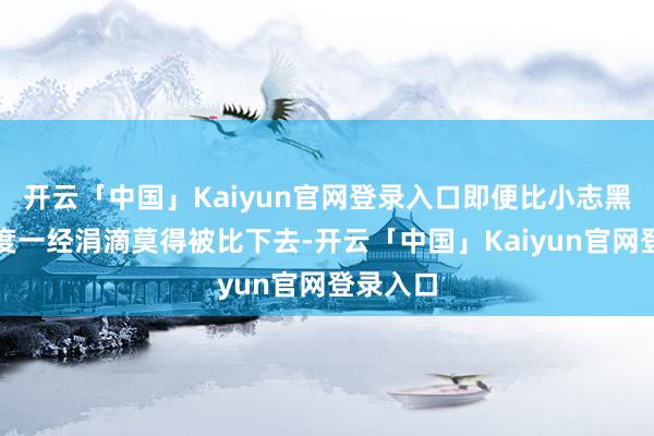 开云「中国」Kaiyun官网登录入口即便比小志黑了一个度一经涓滴莫得被比下去-开云「中国」Kaiyun官网登录入口