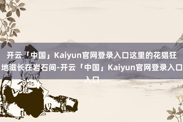 开云「中国」Kaiyun官网登录入口这里的花猖狂地滋长在岩石间-开云「中国」Kaiyun官网登录入口