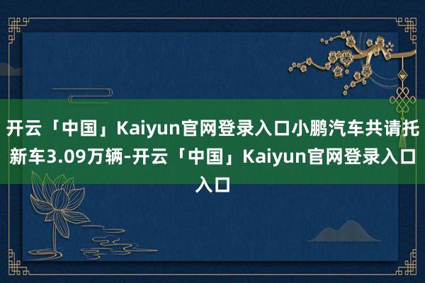 开云「中国」Kaiyun官网登录入口小鹏汽车共请托新车3.09万辆-开云「中国」Kaiyun官网登录入口