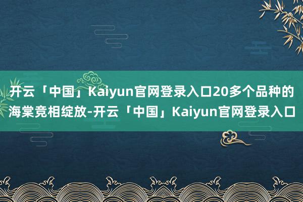 开云「中国」Kaiyun官网登录入口20多个品种的海棠竞相绽放-开云「中国」Kaiyun官网登录入口