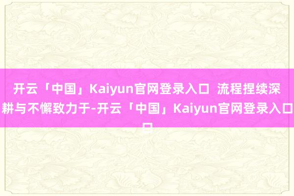 开云「中国」Kaiyun官网登录入口 流程捏续深耕与不懈致力于-开云「中国」Kaiyun官网登录入口