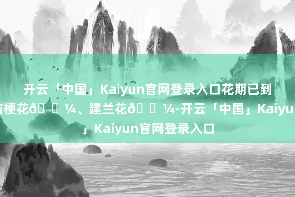 开云「中国」Kaiyun官网登录入口花期已到：处暑 三候•桔梗花🌼、建兰花🌼-开云「中国」Kaiyun官网登录入口
