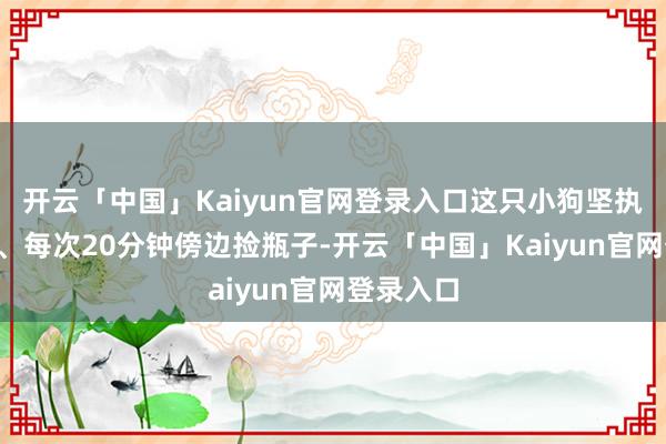 开云「中国」Kaiyun官网登录入口这只小狗坚执每天3次、每次20分钟傍边捡瓶子-开云「中国」Kaiyun官网登录入口