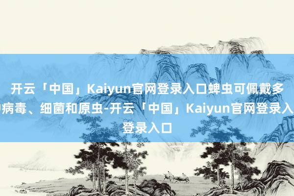 开云「中国」Kaiyun官网登录入口蜱虫可佩戴多种病毒、细菌和原虫-开云「中国」Kaiyun官网登录入口