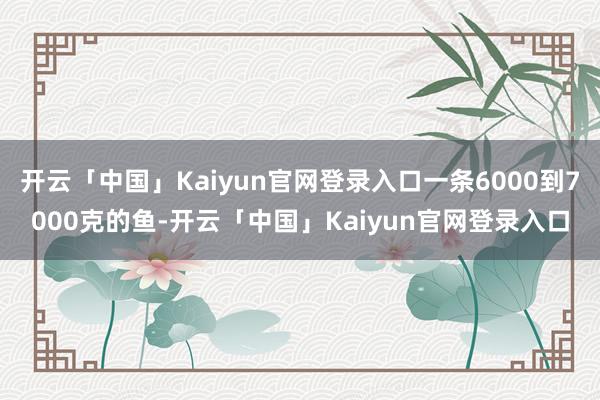 开云「中国」Kaiyun官网登录入口一条6000到7000克的鱼-开云「中国」Kaiyun官网登录入口