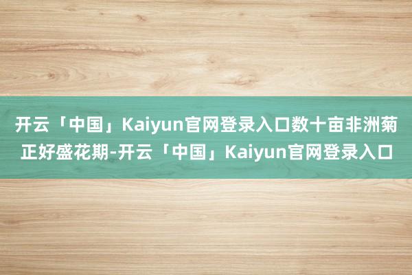 开云「中国」Kaiyun官网登录入口数十亩非洲菊正好盛花期-开云「中国」Kaiyun官网登录入口