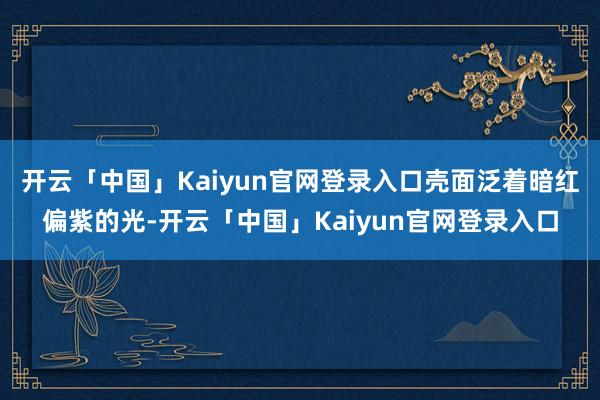 开云「中国」Kaiyun官网登录入口壳面泛着暗红偏紫的光-开云「中国」Kaiyun官网登录入口